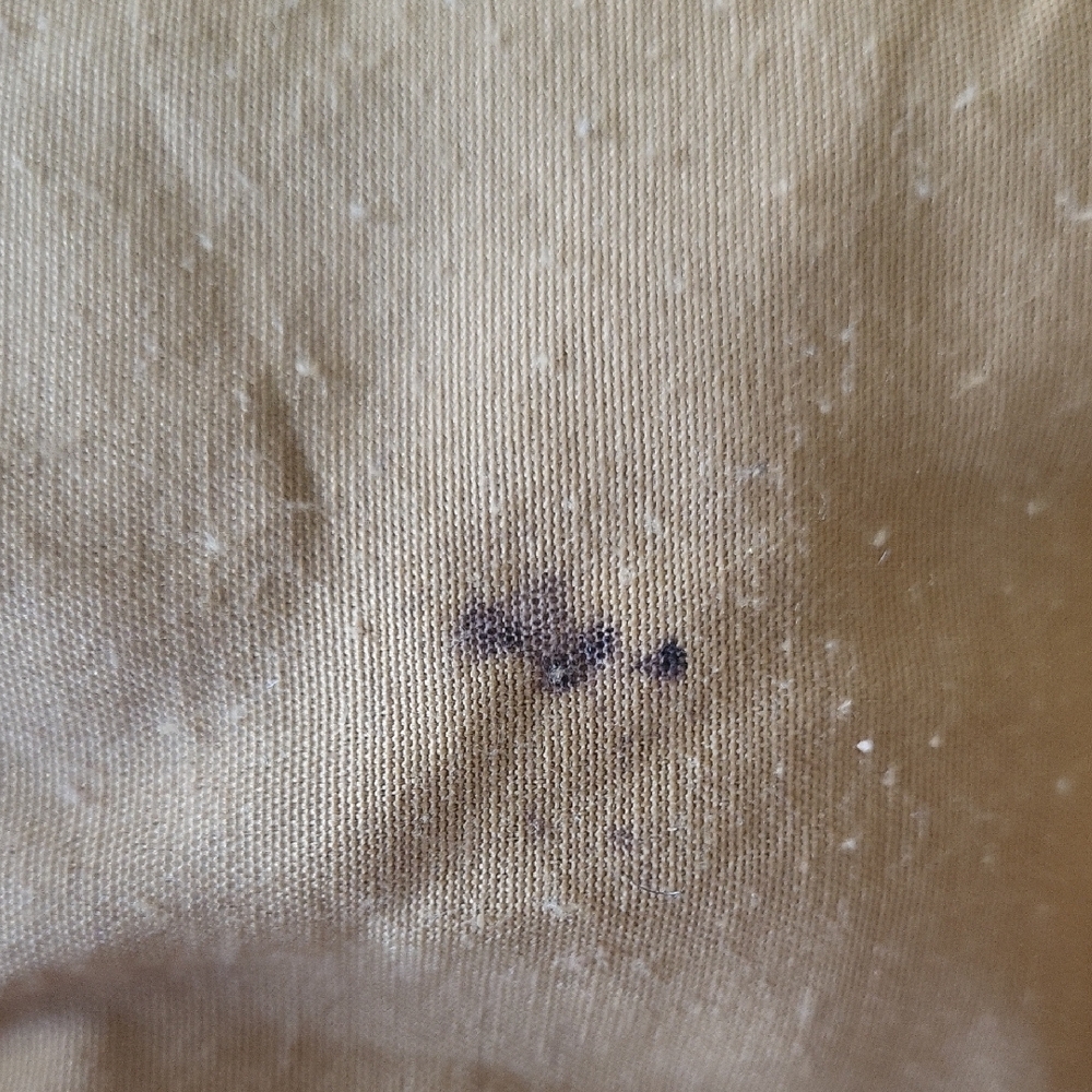 Relic: Floral Canvas Tote Bag - Picture 5 of 5